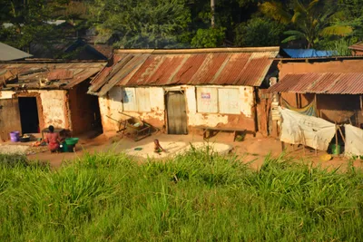 DSC_4355 (Large).JPG